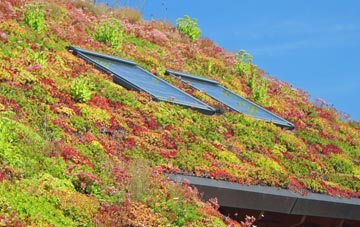 Aldersey Park living roof systems